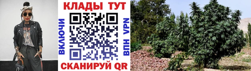 Где купить Надым Амфетамин Мефедрон А ПВП Гашиш COCAIN