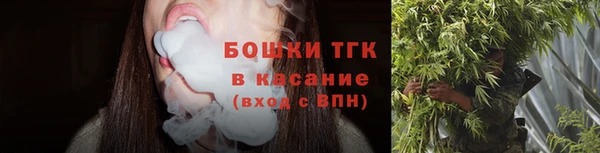 крисы Белокуриха