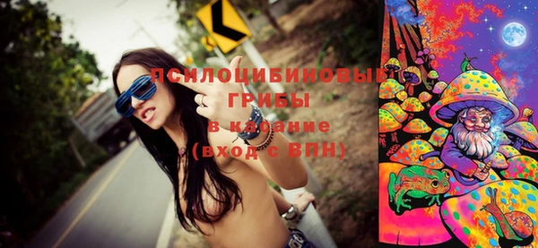 крисы Белокуриха