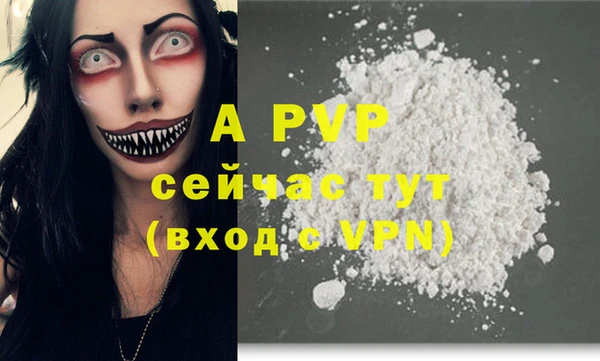 крисы Белокуриха
